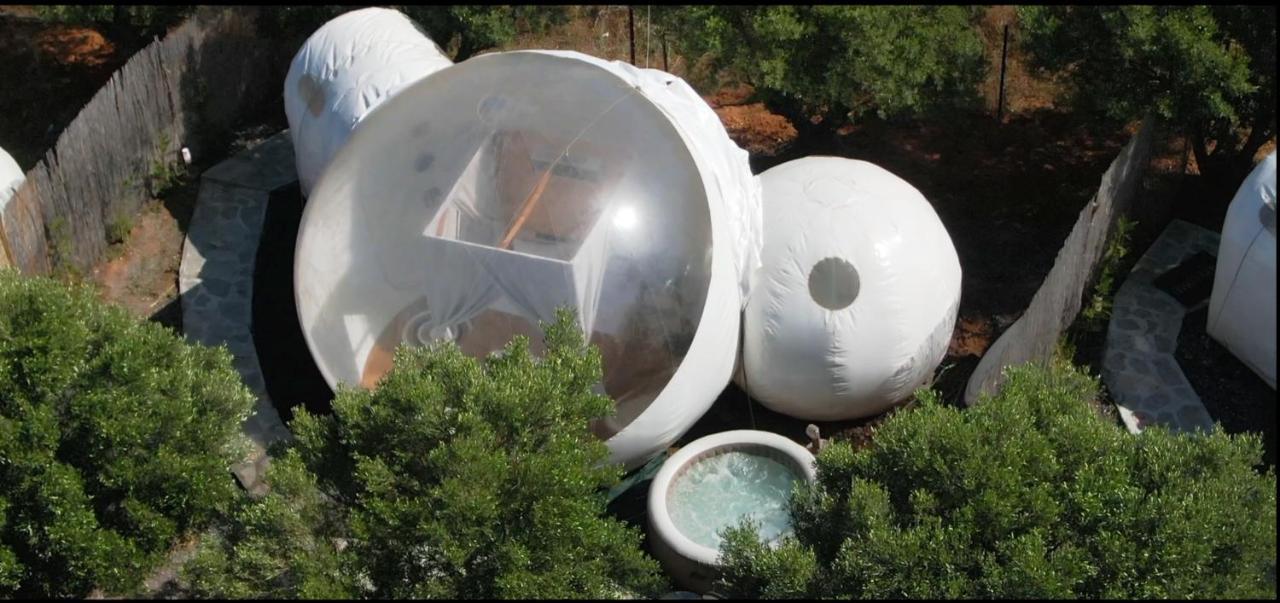 尼亚·蒙达尼亚 Bubble Tent酒店 外观 照片